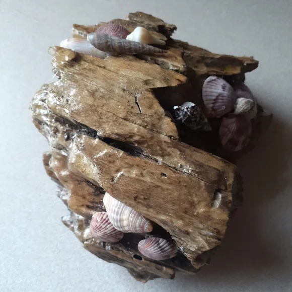 Driftwood and Shell Ornament - Picture 2 of 3